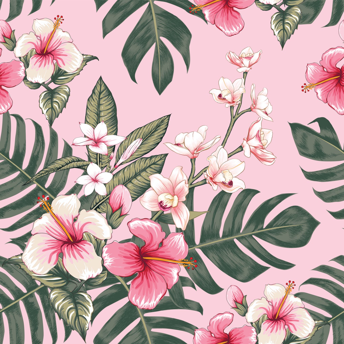 Pink Hibiscus