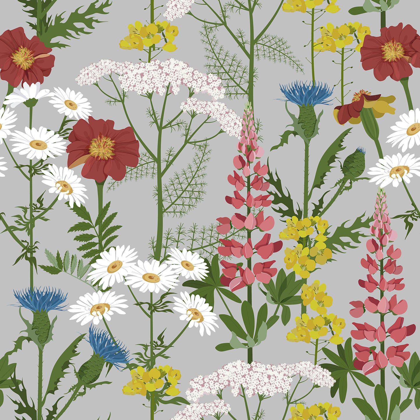 Alpine Wildflowers