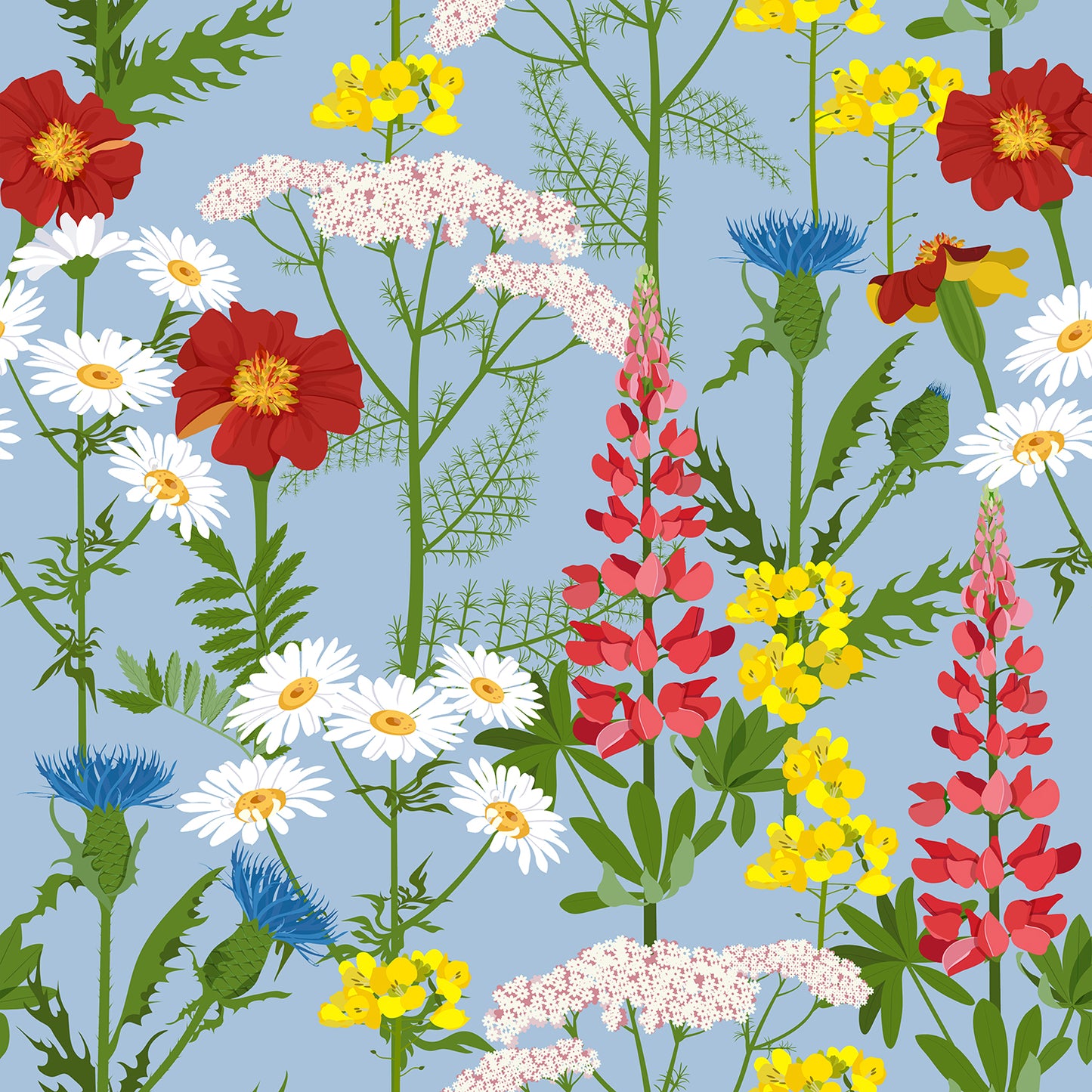 Alpine Wildflowers