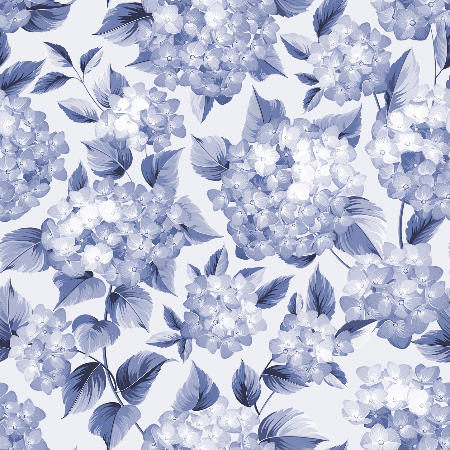 Hydrangea