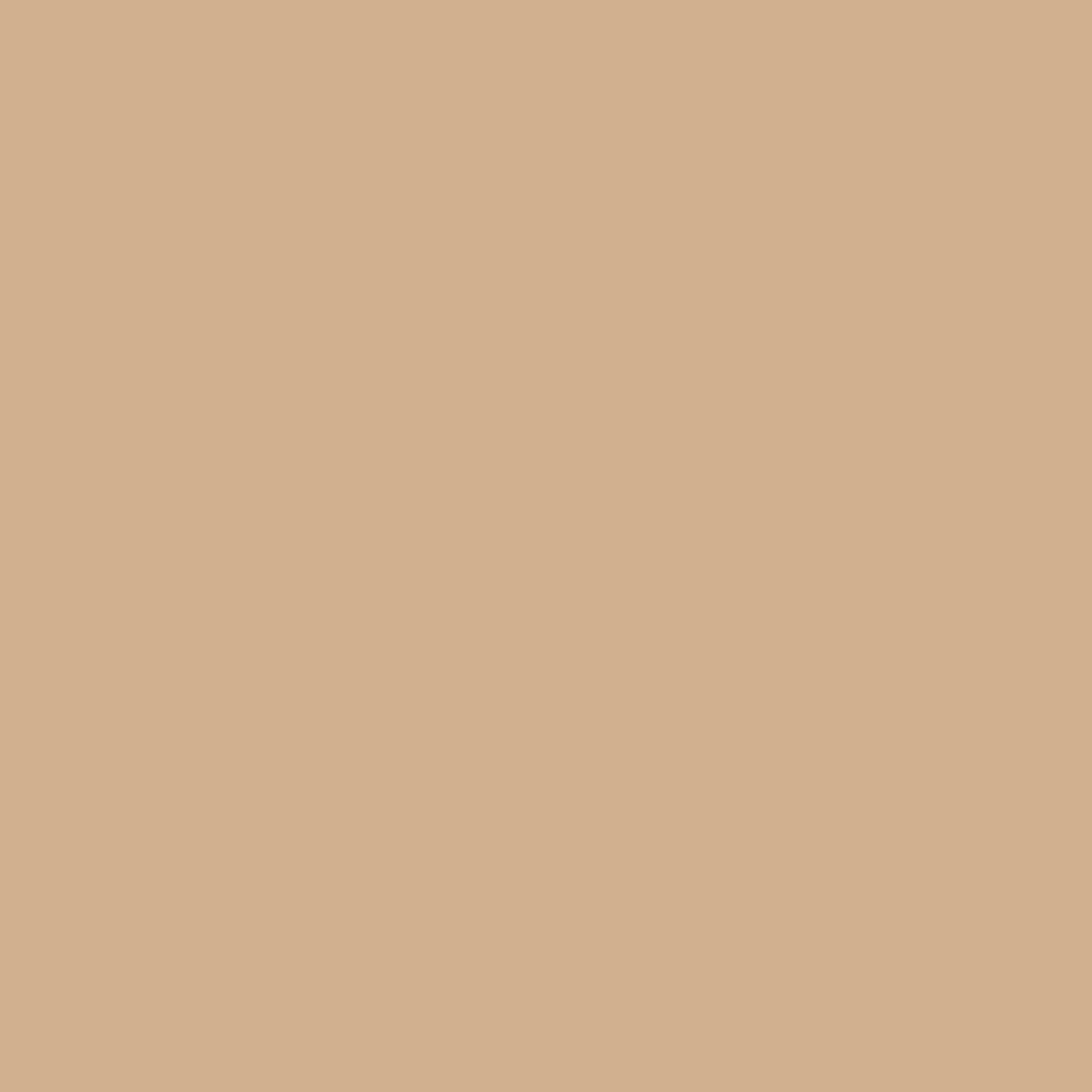 Color - Neutral