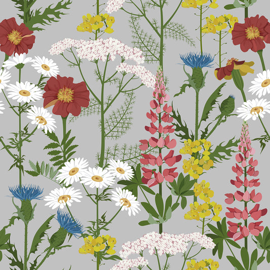 Alpine Wildflowers