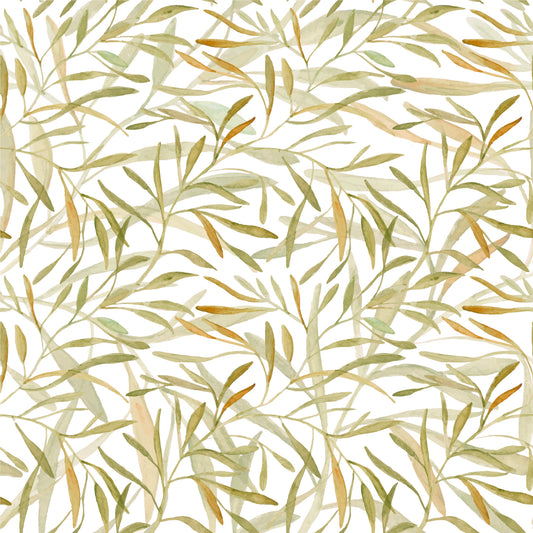 Grasslands