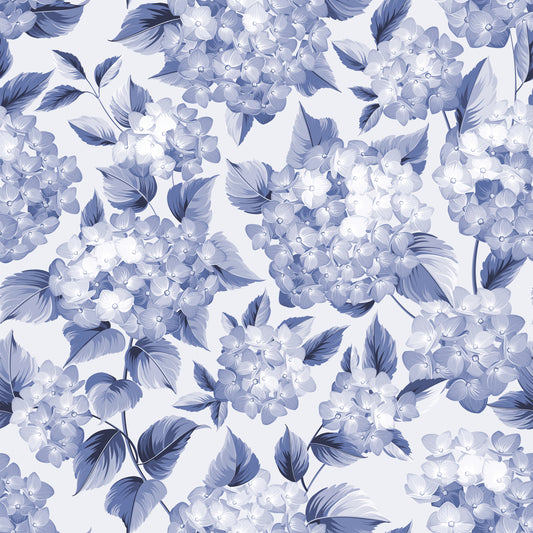 Hydrangea
